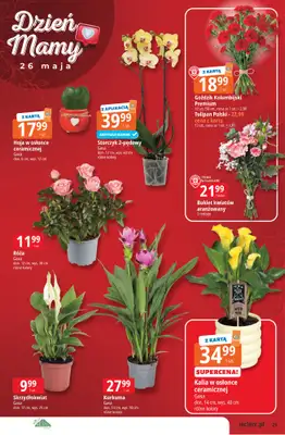 Leclerc - gazetka promocyjna Oferta Leclerc | Katalog Top Marki od wtorku 19.05 do soboty 30.05 - strona 21