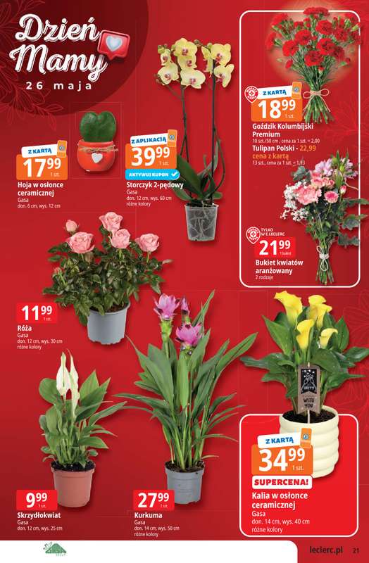Leclerc - gazetka promocyjna Oferta Leclerc | Katalog Top Marki od wtorku 19.05 do soboty 30.05 - strona 21