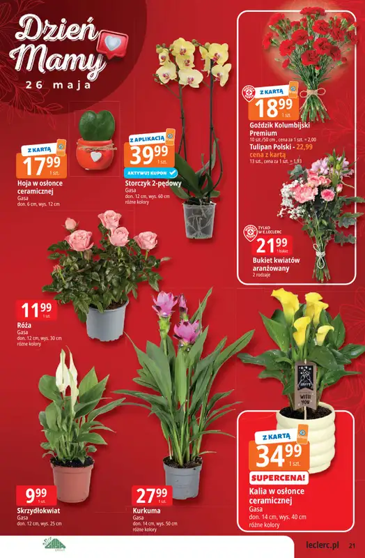 Leclerc - gazetka promocyjna Oferta Leclerc | Katalog Top Marki od wtorku 19.05 do soboty 30.05 - strona 21