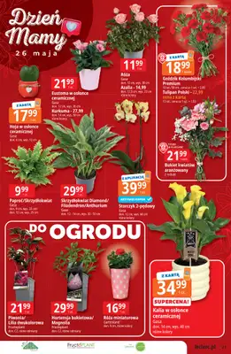Leclerc - gazetka promocyjna Oferta Leclerc | Katalog Top Marki od wtorku 19.05 do soboty 30.05 - strona 21