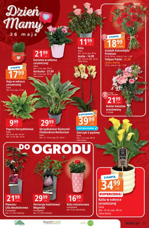Leclerc - gazetka promocyjna Oferta Leclerc | Katalog Top Marki od wtorku 19.05 do soboty 30.05 - strona 21
