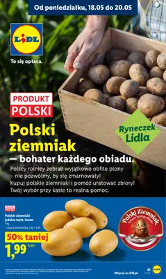 Lidl - gazetka promocyjna Oferta od poniedziałku od poniedziałku 18.05 do środy 20.05 - strona 41