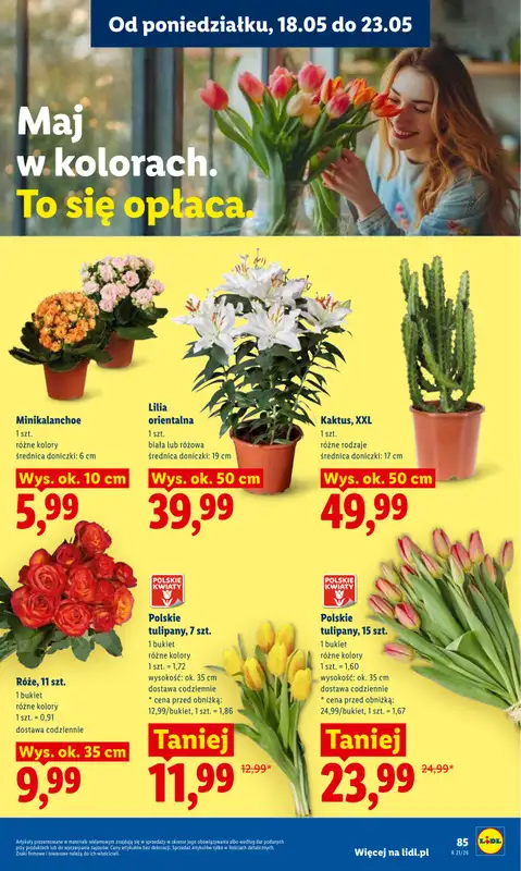 Lidl - gazetka promocyjna Oferta od poniedziałku od poniedziałku 18.05 do środy 20.05 - strona 89