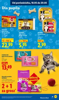 Lidl - gazetka promocyjna Oferta od poniedziałku od poniedziałku 18.05 do środy 20.05 - strona 95
