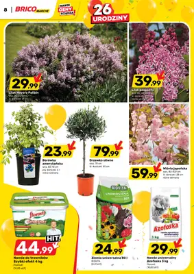 Bricomarche - gazetka promocyjna Gazetka od środy 20.05 do soboty 30.05 - strona 8