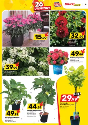 Bricomarche - gazetka promocyjna Gazetka od środy 20.05 do soboty 30.05 - strona 9