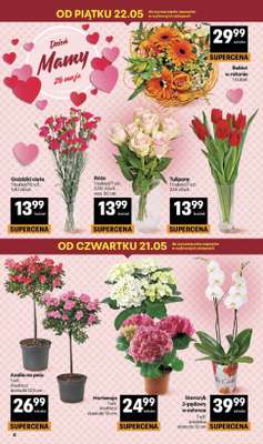 Delikatesy Centrum - gazetka promocyjna Gazetka  do środy 27.05 - strona 4