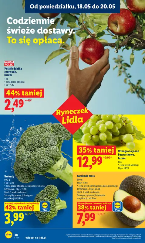 Lidl - gazetka promocyjna Oferta od poniedziałku od poniedziałku 18.05 do środy 20.05 - strona 38