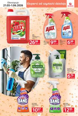 Selgros - gazetka promocyjna Katalog Sprzątanie od czwartku 21.05 do poniedziałku 01.06 - strona 6