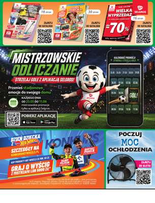 Selgros - gazetka promocyjna Oferta przemysłowa od czwartku 21.05 do poniedziałku 01.06 - strona 2