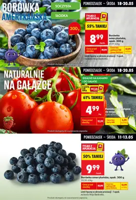 Biedronka - gazetka promocyjna Biedronkowe oszczędności od poniedziałku 18.05 do środy 20.05 - strona 4