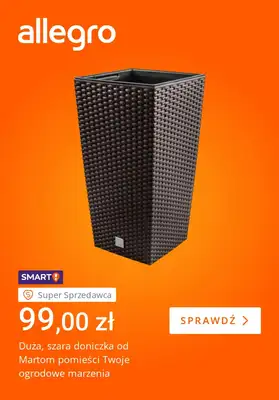 Allegro - gazetka promocyjna Ogród marzeń w zasięgu ręki od wtorku 19.05 do poniedziałku 25.05 - strona 3