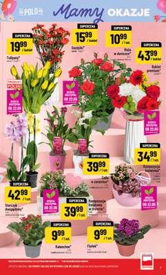 POLOmarket - gazetka promocyjna Gazetka od środy 20.05 do wtorku 26.05 - strona 7