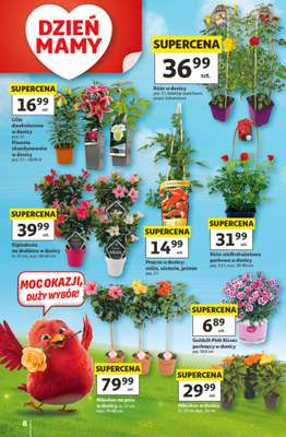 Auchan - gazetka promocyjna Gazetka 30 Lat Hipermarket Auchan od czwartku 21.05 do środy 27.05 - strona 8