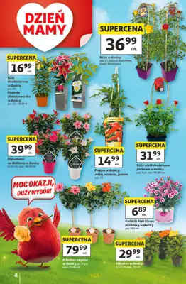 Auchan - gazetka promocyjna Gazetka 30 Lat Hipermarket Auchan od czwartku 21.05 do środy 27.05 - strona 8