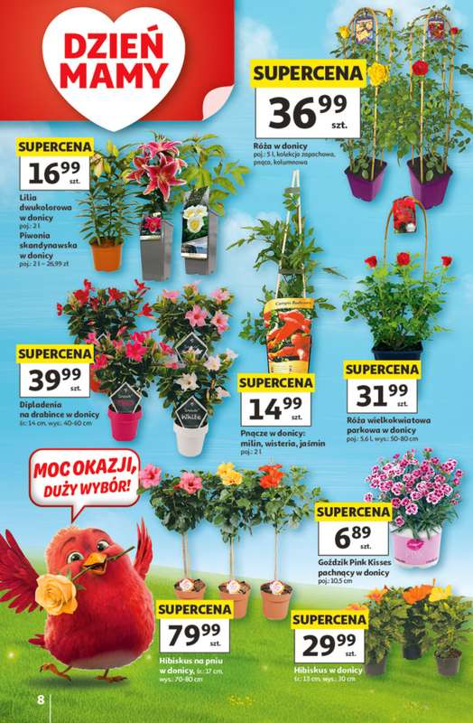 Auchan - gazetka promocyjna Gazetka 30 Lat Hipermarket Auchan od czwartku 21.05 do środy 27.05 - strona 8