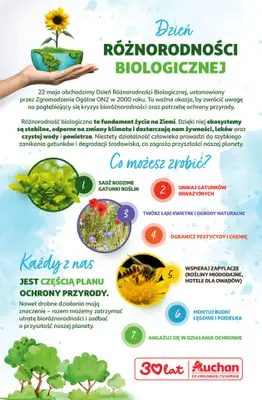 Auchan - gazetka promocyjna Gazetka 30 Lat Hipermarket Auchan od czwartku 21.05 do środy 27.05 - strona 56