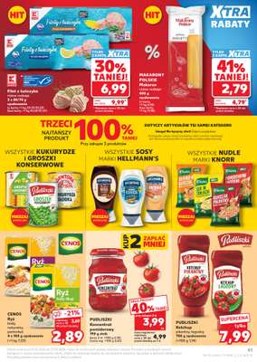 Kaufland - gazetka promocyjna Gazetka Tygodnia od czwartku 21.05 do środy 27.05 - strona 41
