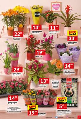 Twój Market - gazetka promocyjna Gazetka od środy 20.05 do wtorku 26.05 - strona 19