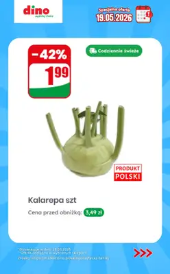 Dino - gazetka promocyjna Specjalna oferta na 19.05.2026 - promocje spoza gazetki od wtorku 19.05  - strona 10