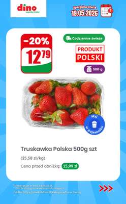 Dino - gazetka promocyjna Specjalna oferta na 19.05.2026 - promocje spoza gazetki od wtorku 19.05  - strona 5