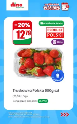 Dino - gazetka promocyjna Specjalna oferta na 19.05.2026 - promocje spoza gazetki od wtorku 19.05  - strona 5
