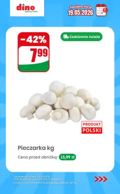 Dino - gazetka promocyjna Specjalna oferta na 19.05.2026 - promocje spoza gazetki od wtorku 19.05  - strona 3