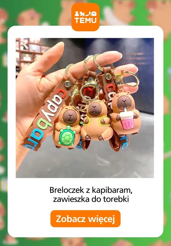 Temu - gazetka promocyjna Gadżety w kapibary   - strona 2