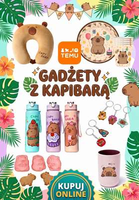 Temu - gazetka promocyjna Gadżety w kapibary od wtorku 19.05 do czwartku 28.05