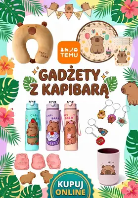 Temu - gazetka promocyjna Gadżety w kapibary od wtorku 19.05 do czwartku 28.05