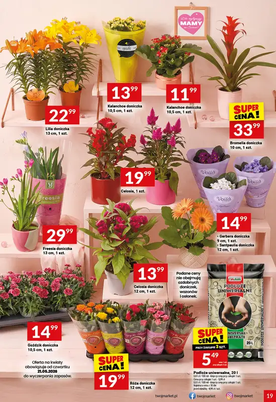 Twój Market - gazetka promocyjna Gazetka od środy 20.05 do wtorku 26.05 - strona 19