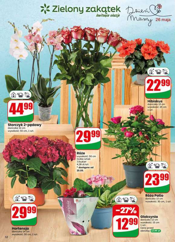 Dino - gazetka promocyjna Gazetka 21 / 2026 od środy 20.05 do wtorku 26.05 - strona 12