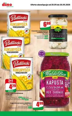 Dino - gazetka promocyjna MEGA promocje! od środy 20.05 do wtorku 26.05 - strona 8