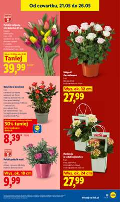 Lidl - gazetka promocyjna Oferta od czwartku od czwartku 21.05 do soboty 23.05 - strona 13