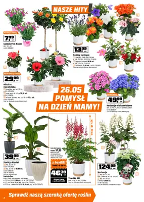 OBI - gazetka promocyjna Gazetka od środy 20.05 do poniedziałku 01.06 - strona 2
