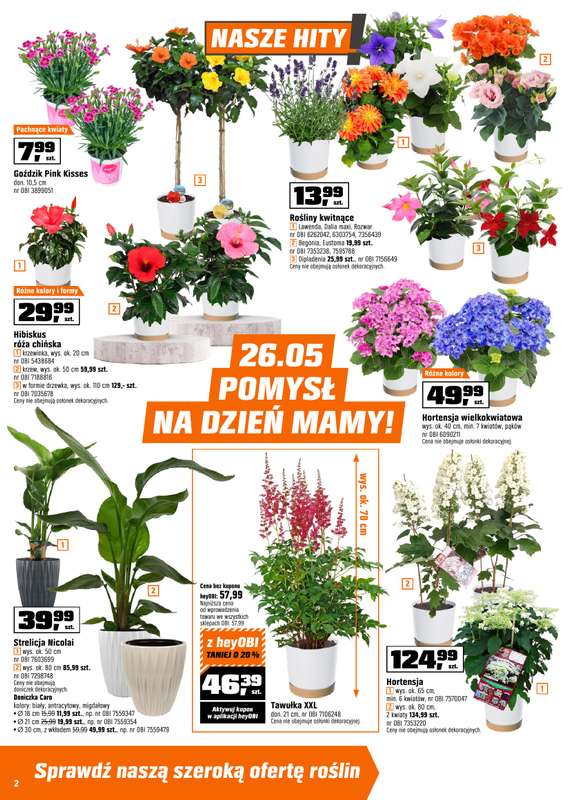 OBI - gazetka promocyjna Gazetka od środy 20.05 do poniedziałku 01.06 - strona 2