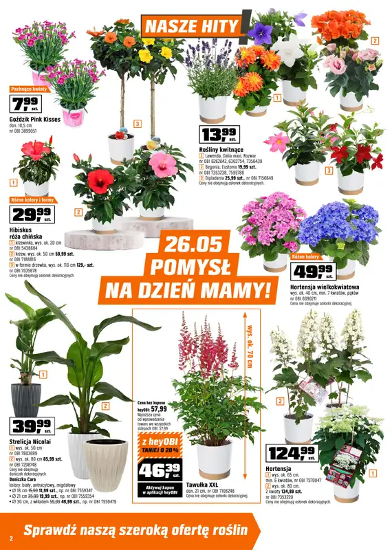 OBI - gazetka promocyjna Gazetka od środy 20.05 do poniedziałku 01.06 - strona 2