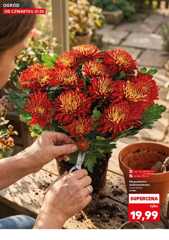 Kaufland - gazetka promocyjna Oferta Kaufland - Ogród od czwartku 21.05 do środy 27.05 - strona 10