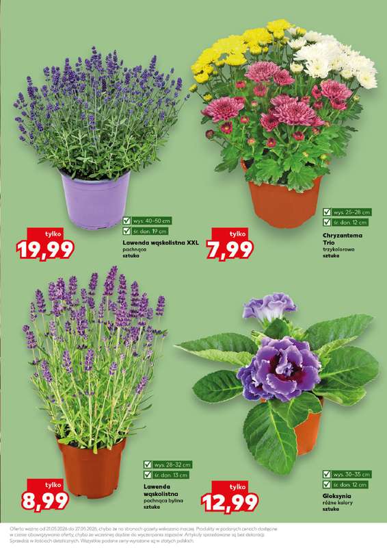 Kaufland - gazetka promocyjna Oferta Kaufland - Ogród od czwartku 21.05 do środy 27.05 - strona 11