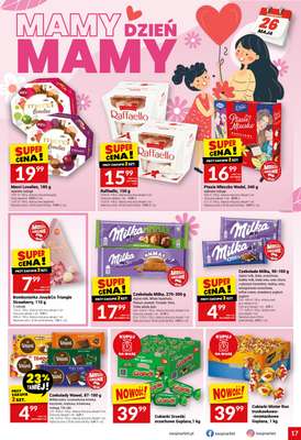 Twój Market - gazetka promocyjna Gazetka od środy 20.05 do wtorku 26.05 - strona 17