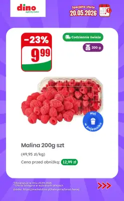 Dino - gazetka promocyjna Specjalna oferta na 20.05.2026 - promocje spoza gazetki od środy 20.05 do środy 20.05 - strona 2