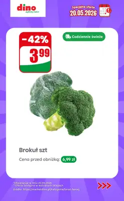 Dino - gazetka promocyjna Specjalna oferta na 20.05.2026 - promocje spoza gazetki od środy 20.05 do środy 20.05 - strona 6