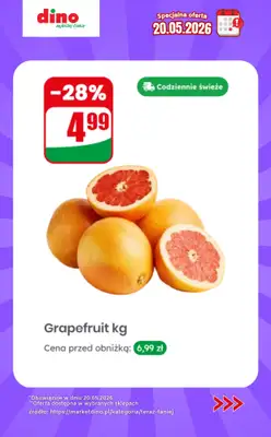 Dino - gazetka promocyjna Specjalna oferta na 20.05.2026 - promocje spoza gazetki od środy 20.05 do środy 20.05 - strona 4