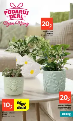 Dealz - gazetka promocyjna Dzień Mamy  do środy 27.05 - strona 17