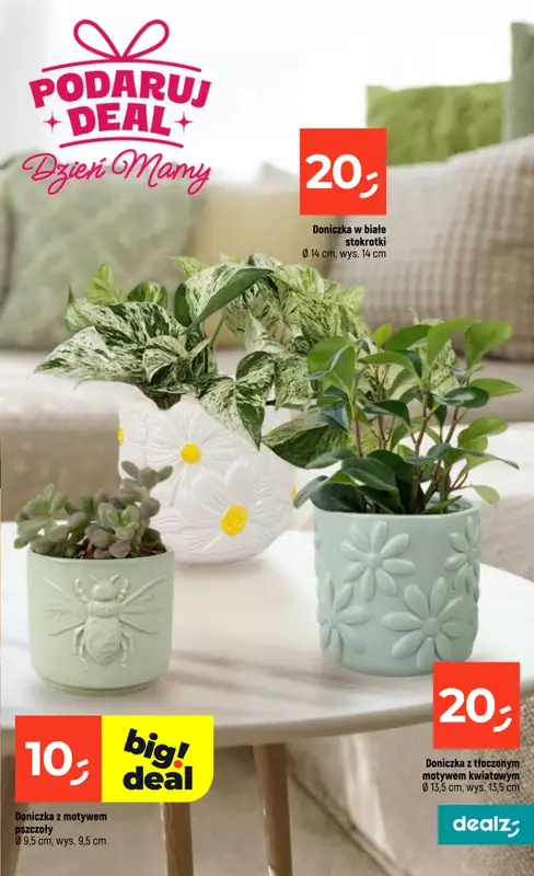Dealz - gazetka promocyjna Dzień Mamy od czwartku 21.05 do środy 27.05 - strona 17