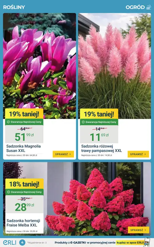 ERLI - gazetka promocyjna Ogród i taras – okazje tygodnia od ERLI! od środy 20.05 do niedzieli 24.05 - strona 4