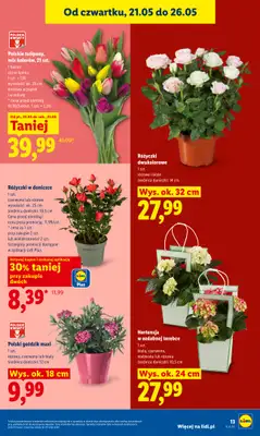 Lidl - gazetka promocyjna Oferta od czwartku od czwartku 21.05 do soboty 23.05 - strona 13