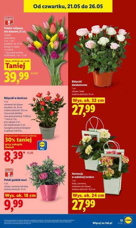 Lidl - gazetka promocyjna Oferta od czwartku od czwartku 21.05 do soboty 23.05 - strona 13
