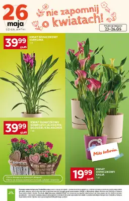 Stokrotka - gazetka promocyjna Gazetka Supermarket od czwartku 21.05 do środy 27.05 - strona 11