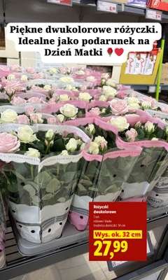 Lidl - gazetka promocyjna Zakupowe inspiracje w Lidl - na Dzień Matki i nie tylko od czwartku 21.05 do soboty 23.05